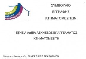 Silver Turtle Realtors Ltd 